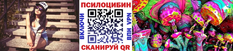 Галлюциногенные грибы прущие грибы  Новороссийск 