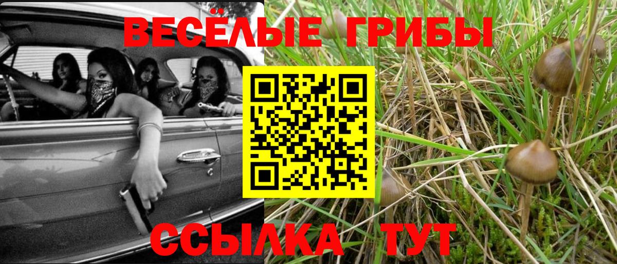 Новороссийск  Псилоцибиновые грибы ЛСД  Вход с VPN  Галлюциногенные грибы Psilocybine cubensis 