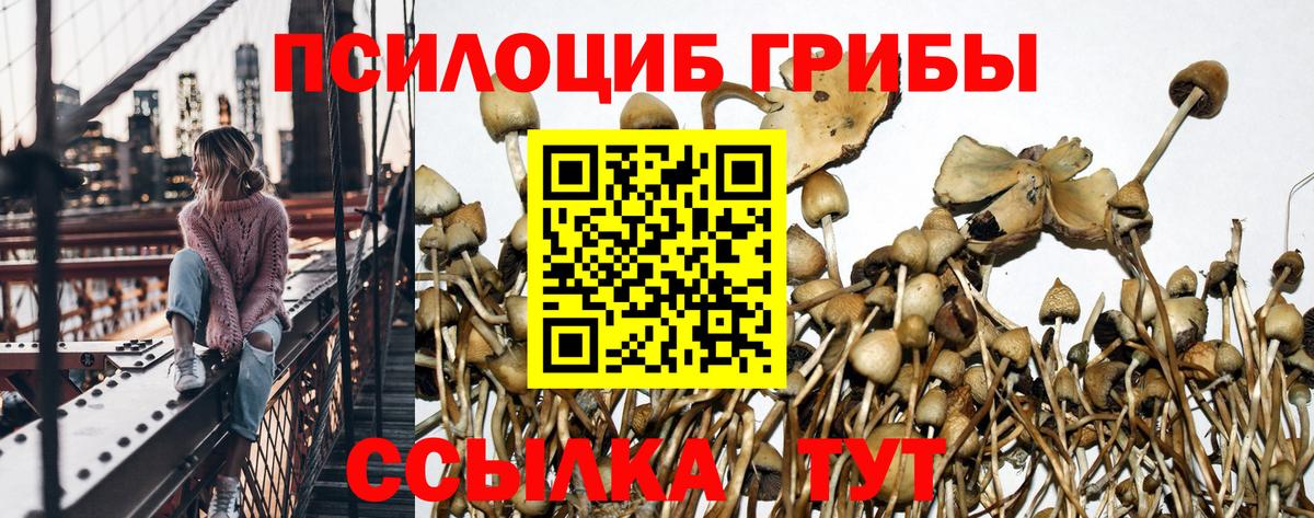 Галлюциногенные грибы прущие грибы Новороссийск