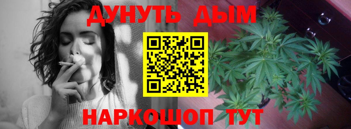 Каннабис план Новороссийск